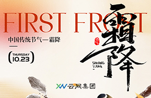 濕冷開局，鄭州人的霜降指南